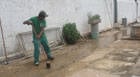 Secretaria de Desenvolvimento Urbano realiza mutirão de limpeza nos cemitérios