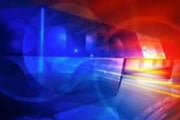 PM registra morte de cães por suposto envenenamento