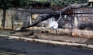 Menor perde controle de carro e derruba poste da Cemig