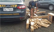 Polícia Rodoviária Federal apreende 187 kg de maconha na BR-262