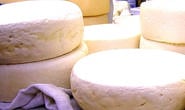 Queijo Minas Artesanal Araxá concorre na Superagro 2011