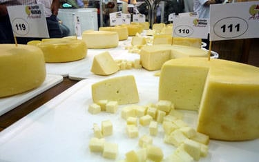Comercialização do queijo mineiro é liberada para todo o país