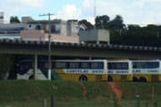 Motorista nega a transportar cachorro e dono deita-se embaixo de ônibus