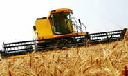 Minas supera média nacional em aplicação de crédito rural