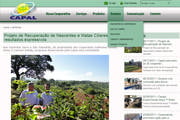 Capal lança novo site