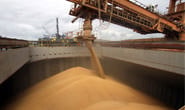 Alemanha é o maior comprador do farelo de soja de Minas Gerais