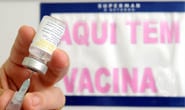 Campanha de Vacinação Contra a Gripe inicia no dia 25