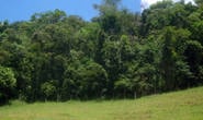Minas investe para conservar 28 mil hectares de matas