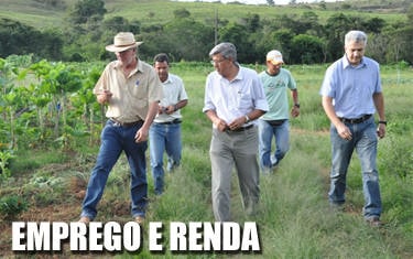 Cinturão Verde será incrementado