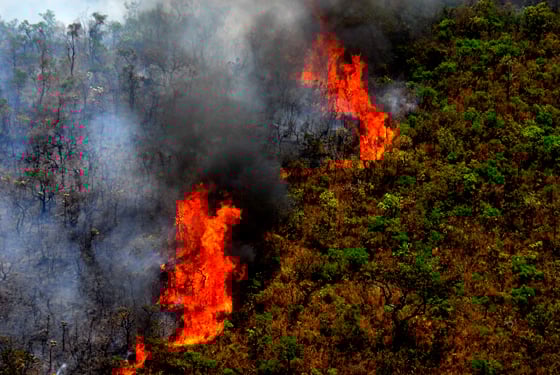 Governador libera recursos para combate a incêndios em Minas Gerais