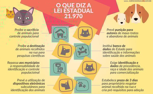 Lei que garante proteção e bem estar a cães e gatos é sancionada em Minas