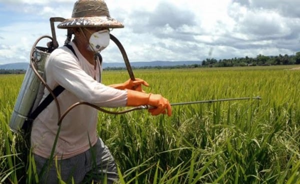 Crea-Minas fiscaliza empreendimentos do agronegócio em Araxá e região