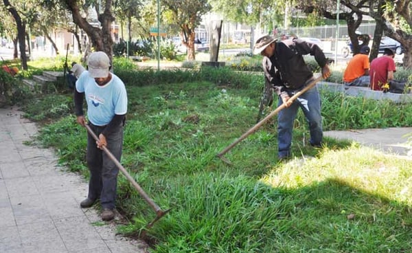Novo cronograma para a operação Tapa-buracos e capina