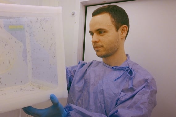 Cientista mineiro desenvolve pesquisa pioneira no combate à dengue
