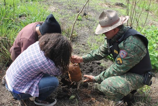 Semana do Meio Ambiente destaca educação e sustentabilidade