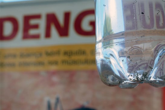 Araxá registra redução significativa nos casos de dengue