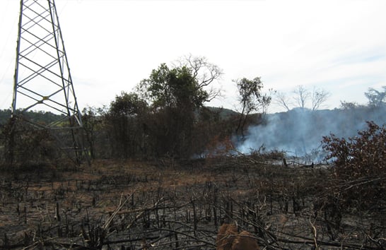 Cemig alerta sobre queimadas no período seco e o risco ao setor elétrico