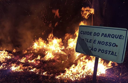 Incêndio consume cerca de 10 hectares do Parque do Cristo