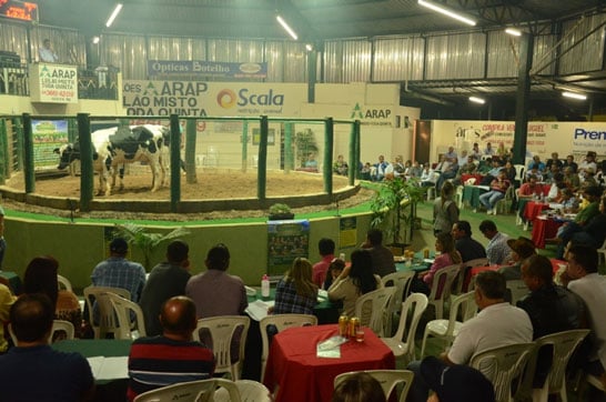 Leilão beneficente ‘Natal Contra o Câncer’ acontece neste sábado