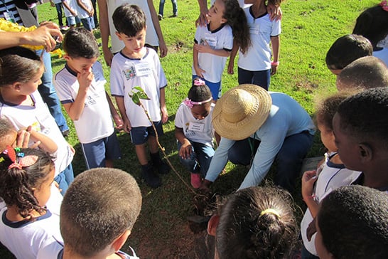 Câmara comemora Dia Mundial do Meio Ambiente com plantio de árvores