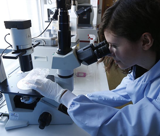 Projeto nascido no Cefet-MG é premiado por produzir tecnologia para crescimento de tecidos