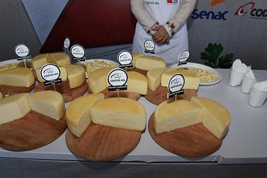 Governo Estadual incentiva o desenvolvimento da cadeia produtiva do Queijo Minas Artesanal