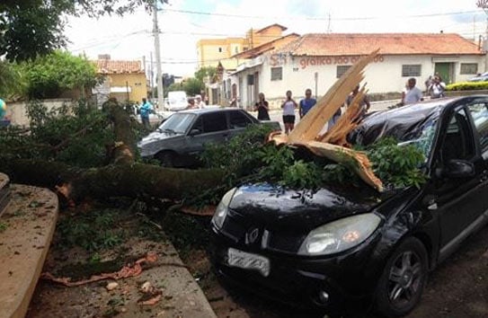 Veículos sofrem danos após queda de galho em frente ao Passo da Saudade
