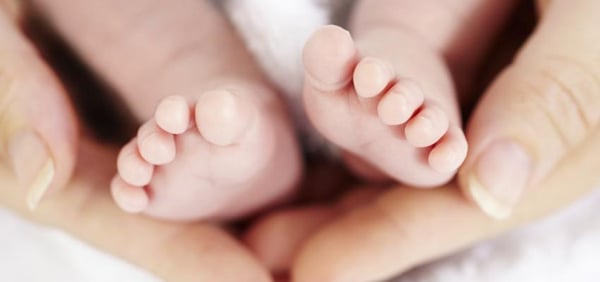 Centro de Atendimento à Criança realiza Semana da Prematuridade
