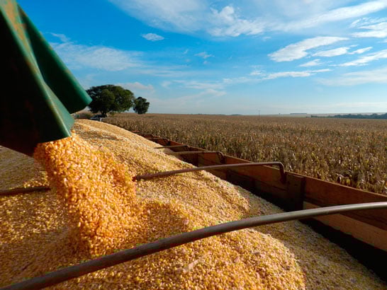Estoque de produtos agrícolas registra queda de 17% no primeiro semestre
