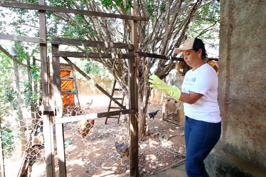Secretaria de Saúde intensifica trabalho de combate ao mosquito Aedes Aegypti