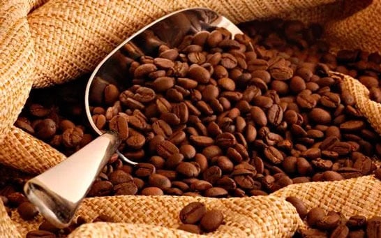 Araxá sedia Encontro de Integração de Cafeicultores