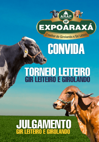 Torneio leiteiro da raça Gir Leiteiro e Girolando busca novo recorde na Expoaraxá