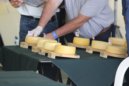 Etapa classificatória para o Concurso Estadual do Queijo Minas Artesanal na Expoaraxá