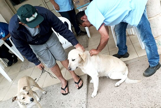 Vacinação de cães e gatos contra raiva começa no dia 7 de setembro