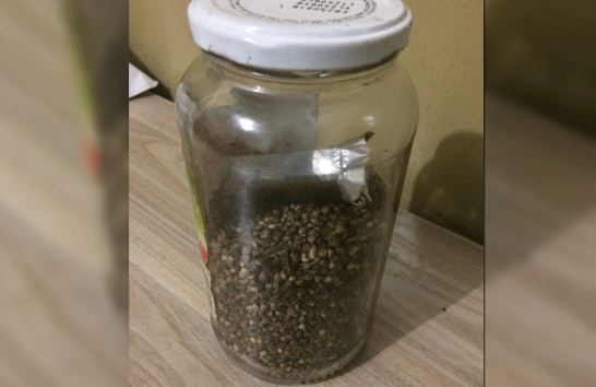 PM apreende adolescente por roubo e localiza sementes de maconha