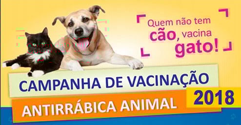 Campanha de vacinação antirrábica chega ao perímetro urbano