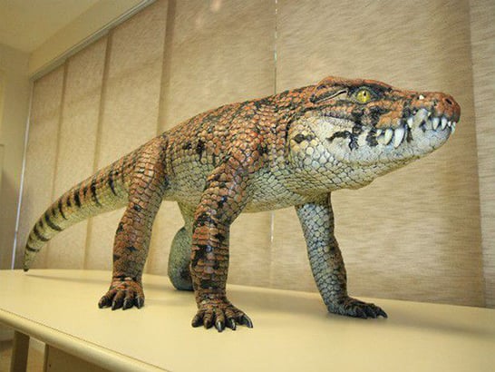 UFTM apresenta fóssil de crocodilo encontrado no Triângulo Mineiro