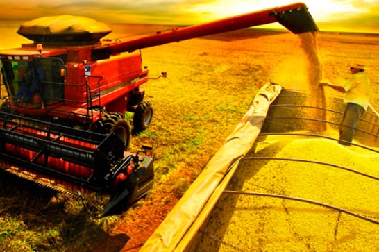 Contratação de crédito agrícola cresce 45% no primeiro bimestre