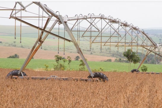 Safra de grãos pode chegar a 238,3 milhões de toneladas, diz Conab