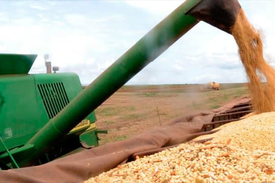 IBGE prevê safra de grãos 1,7% maior em 2019