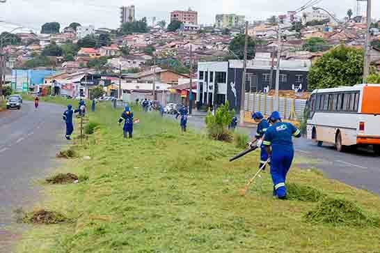 Recomeçam os serviços de capina e poda em Araxá