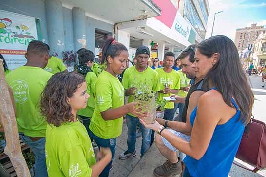 Comunidade recebe mudas doadas pela Prefeitura