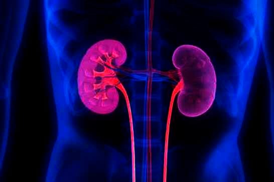Saúde alerta para prevenção e diagnóstico precoce de doença renal