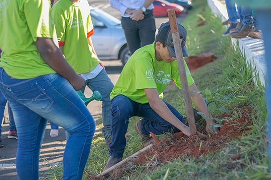 Prefeitura promove plantio de mudas no estacionamento do Estádio Fausto Alvim