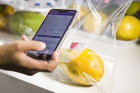 Embrapa desenvolve sensor que avalia grau de maturação de frutas