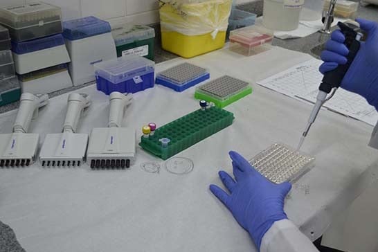 Minas retoma força-tarefa para coleta de DNA de condenados por crimes hediondos