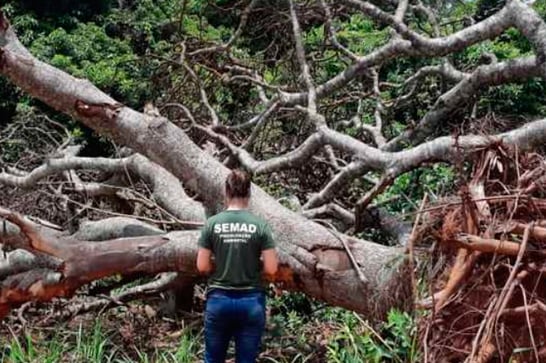 Sisema mantém fiscalizações essenciais e emergenciais durante quarentena