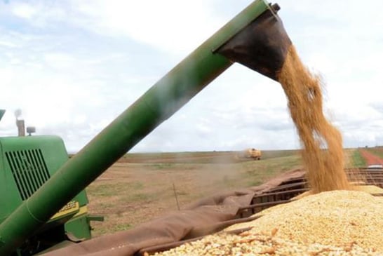 Setor agropecuário pode crescer até 2,5% apesar da pandemia
