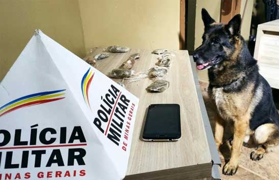 Adolescente é apreendido com maconha em operação da PM