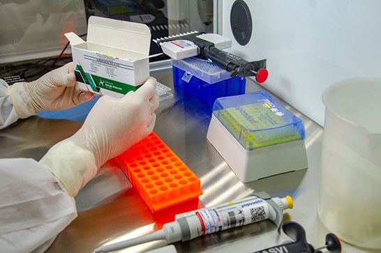 Covid-19: Anvisa autoriza testes para nova vacina da Johnson & Johnson
